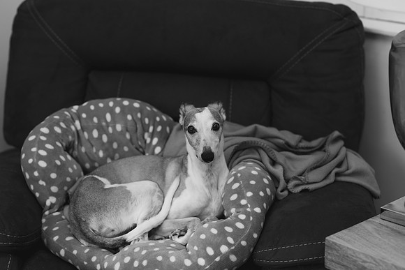 BW1U8A80022025