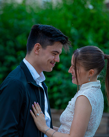 Tom and Ellie Proposal-1334