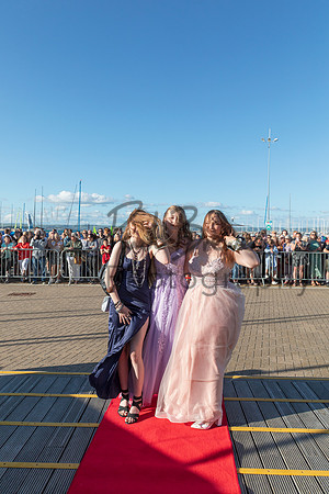 Prom-328