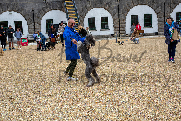 PBP_8914-Enhanced-RD