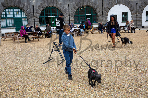 PBP_8871-Enhanced-RD