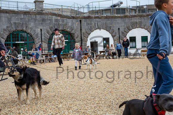 PBP_8907-Enhanced-RD