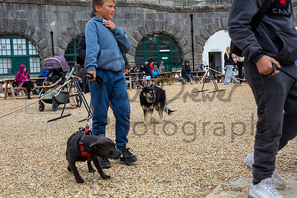 PBP_8903-Enhanced-RD