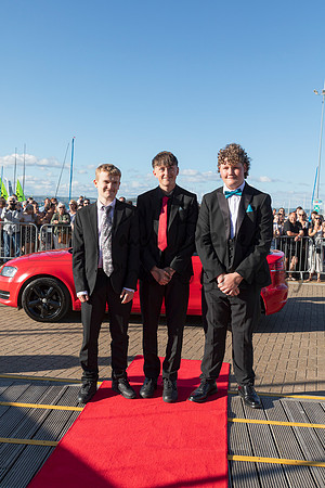 Prom-314