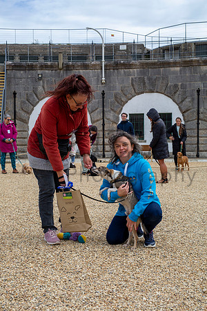 PBP_8797-Enhanced-RD