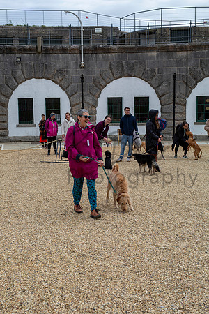 PBP_8802-Enhanced-RD