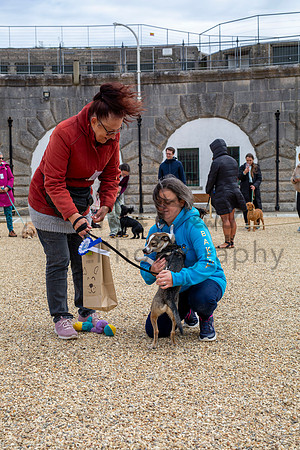 PBP_8793-Enhanced-RD