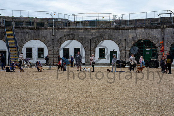 PBP_8817-Enhanced-RD